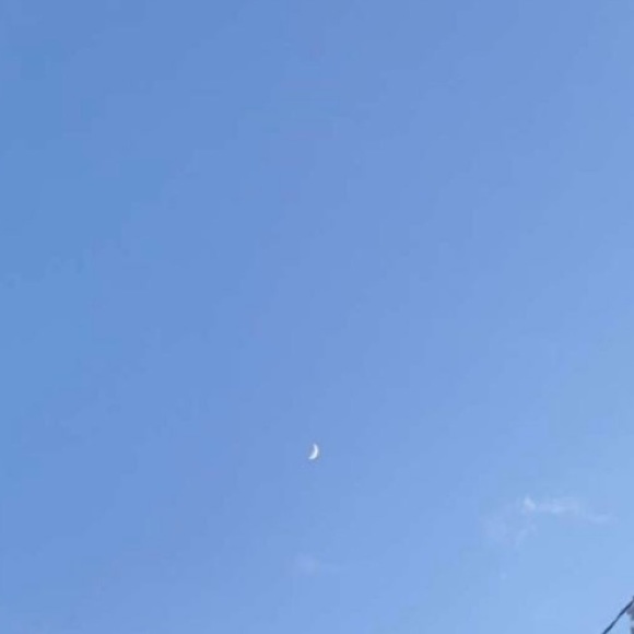 Meet your Posher, Carly - Picture 1 of 1